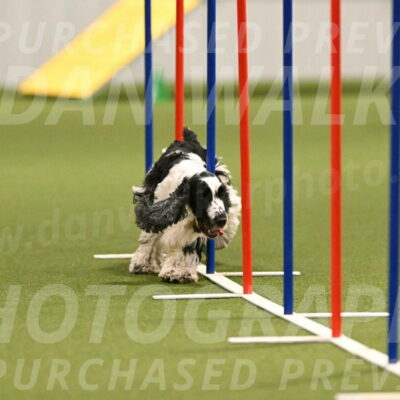 Winston-David-and-Christy-Thorley-02418