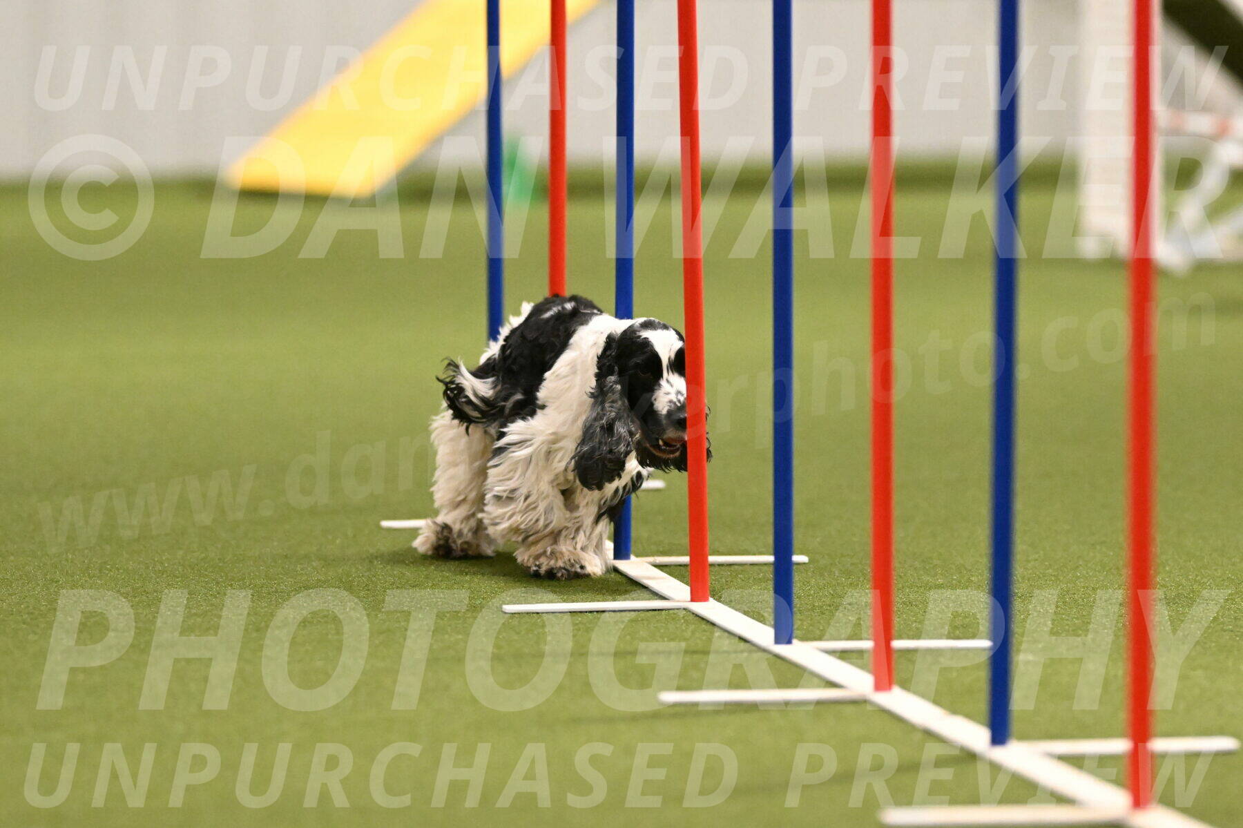 Winston-David-and-Christy-Thorley-02419