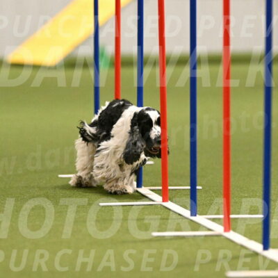 Winston-David-and-Christy-Thorley-02419