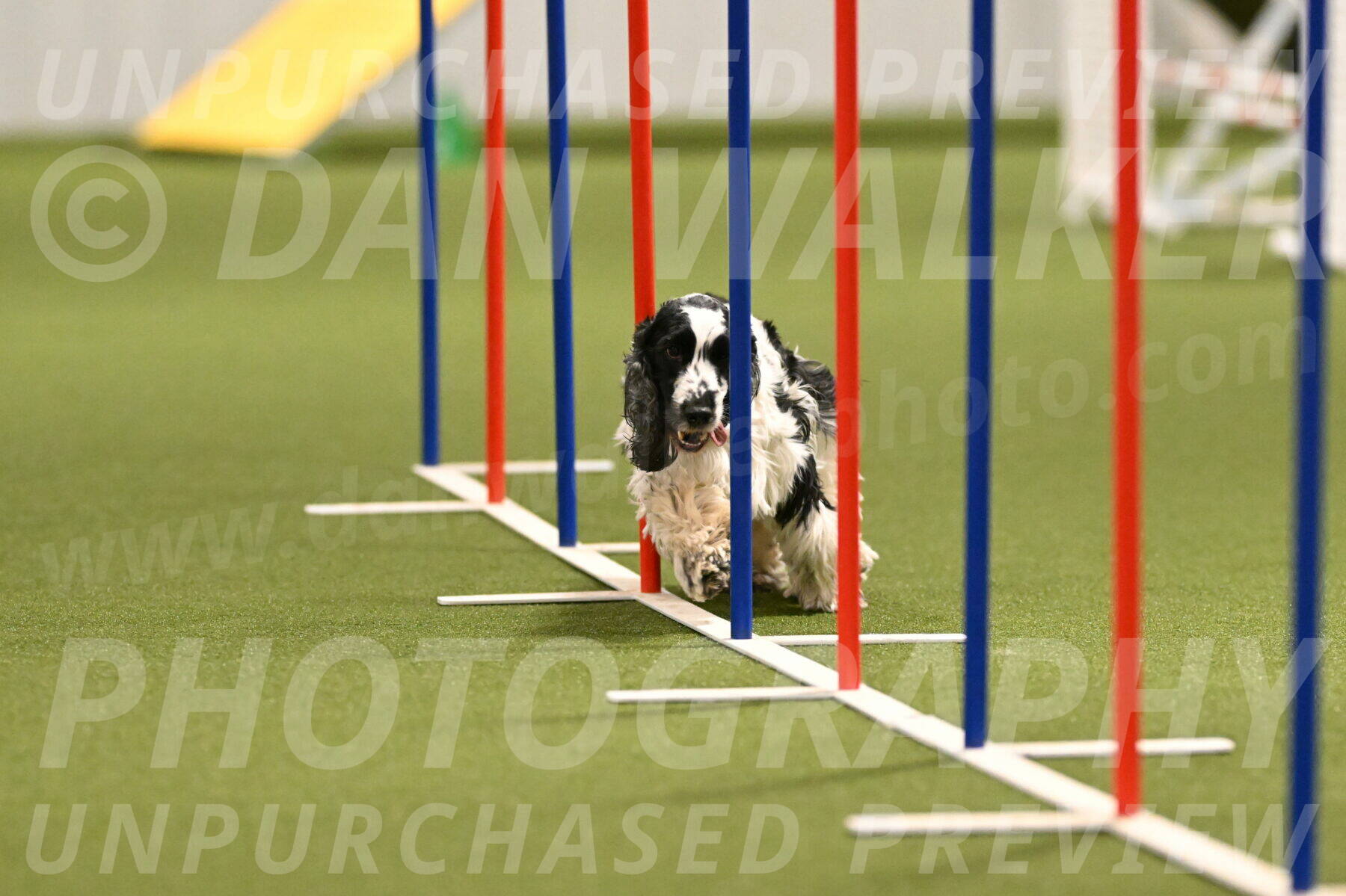 Winston-David-and-Christy-Thorley-02420