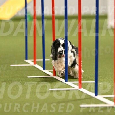 Winston-David-and-Christy-Thorley-02420