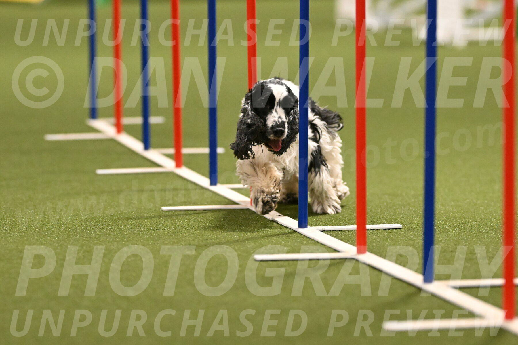 Winston-David-and-Christy-Thorley-02421