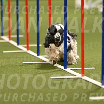 Winston-David-and-Christy-Thorley-02421