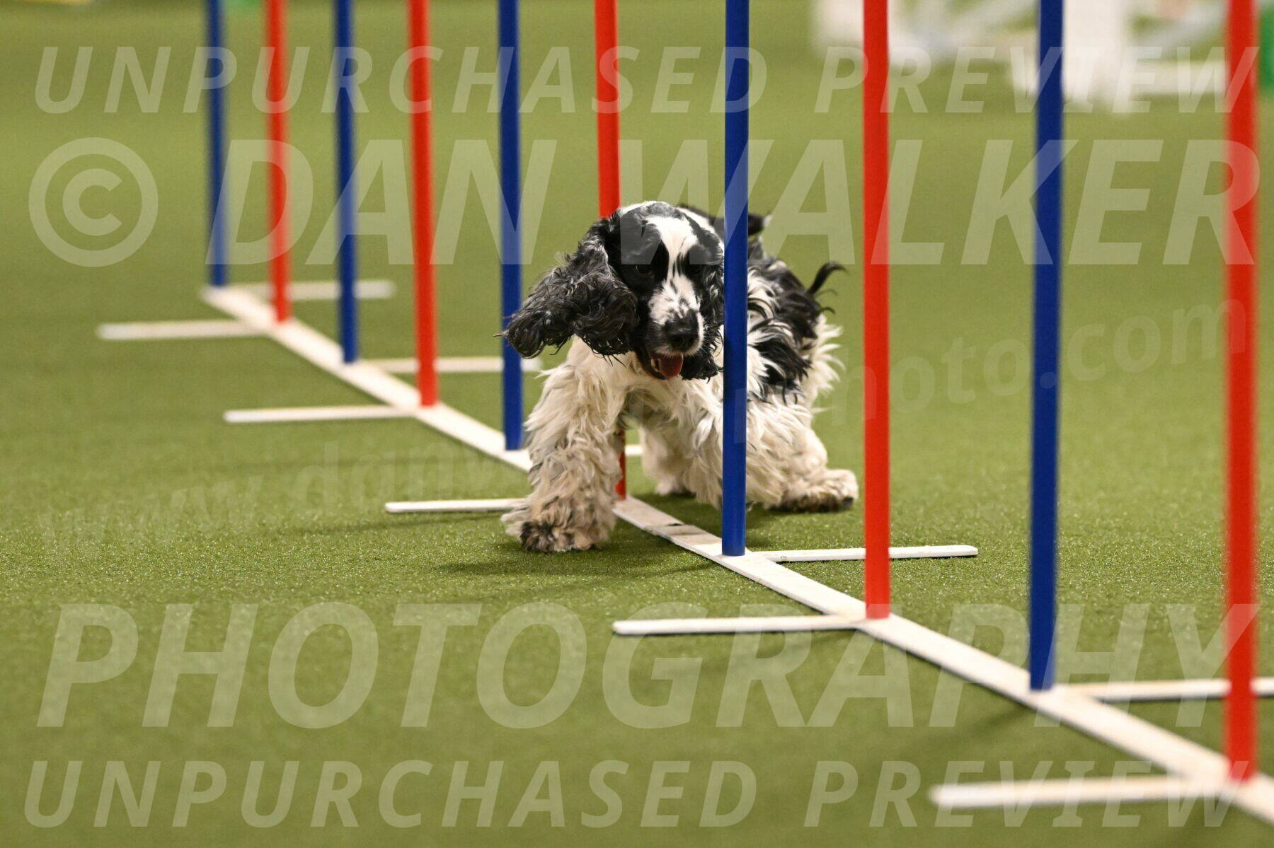 Winston-David-and-Christy-Thorley-02422