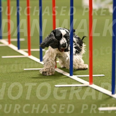 Winston-David-and-Christy-Thorley-02422