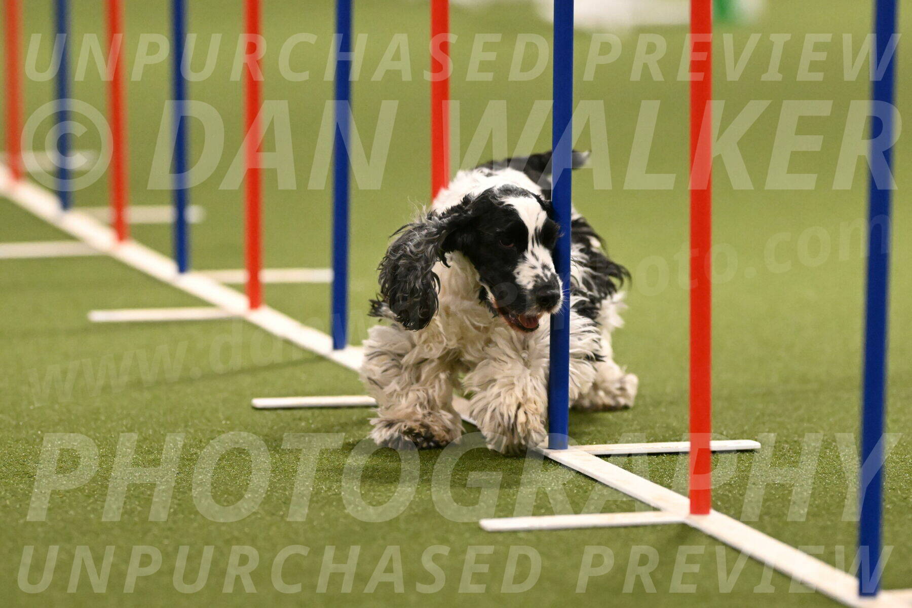 Winston-David-and-Christy-Thorley-02423