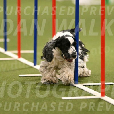 Winston-David-and-Christy-Thorley-02423