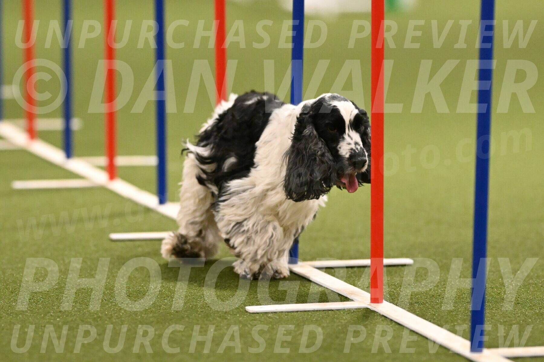 Winston-David-and-Christy-Thorley-02424