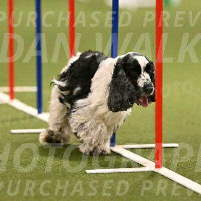 Winston-David-and-Christy-Thorley-02424