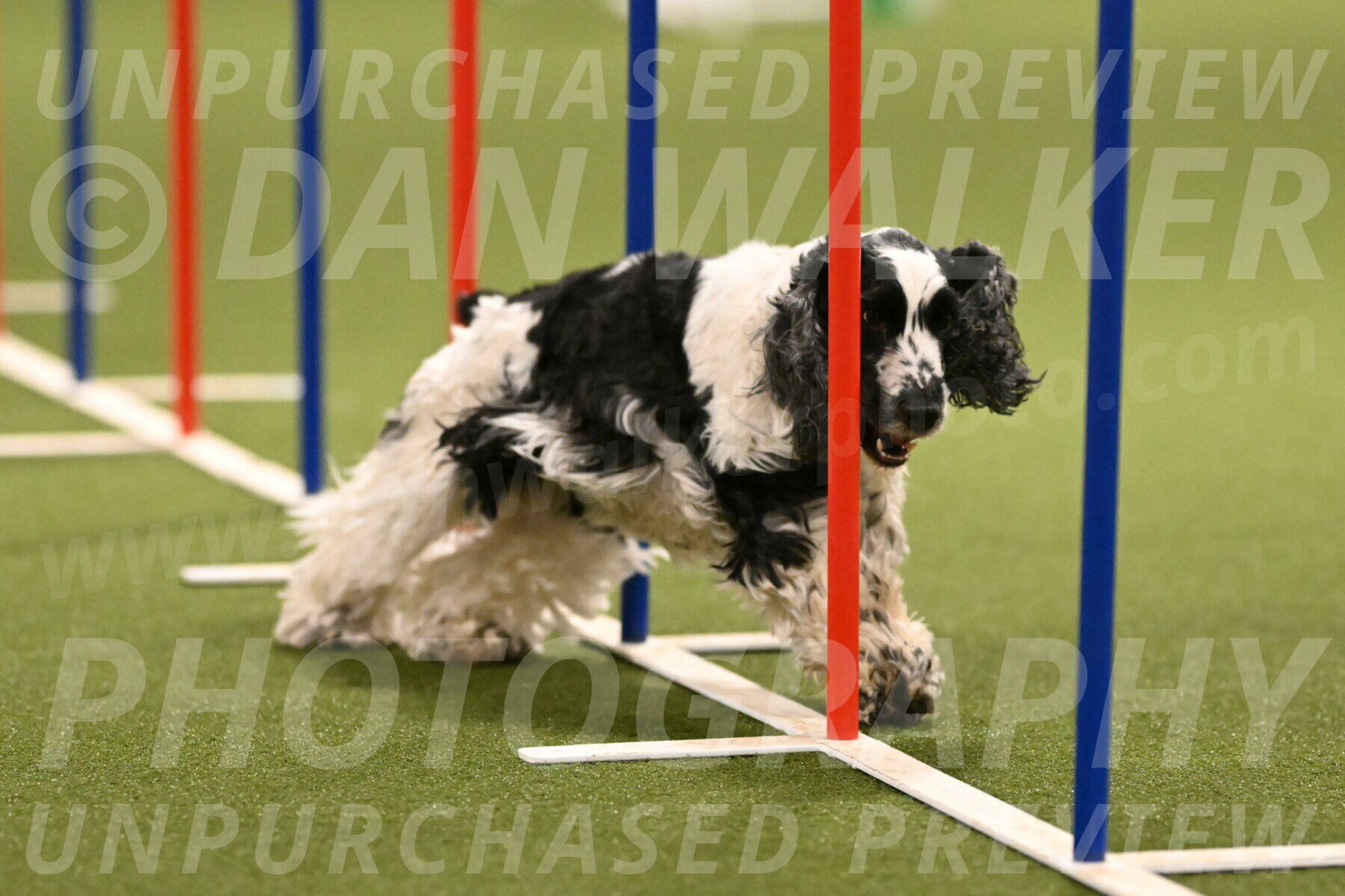 Winston-David-and-Christy-Thorley-02425