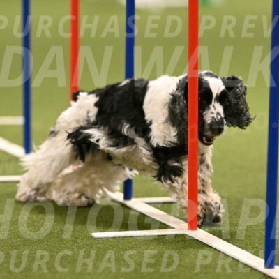 Winston-David-and-Christy-Thorley-02425