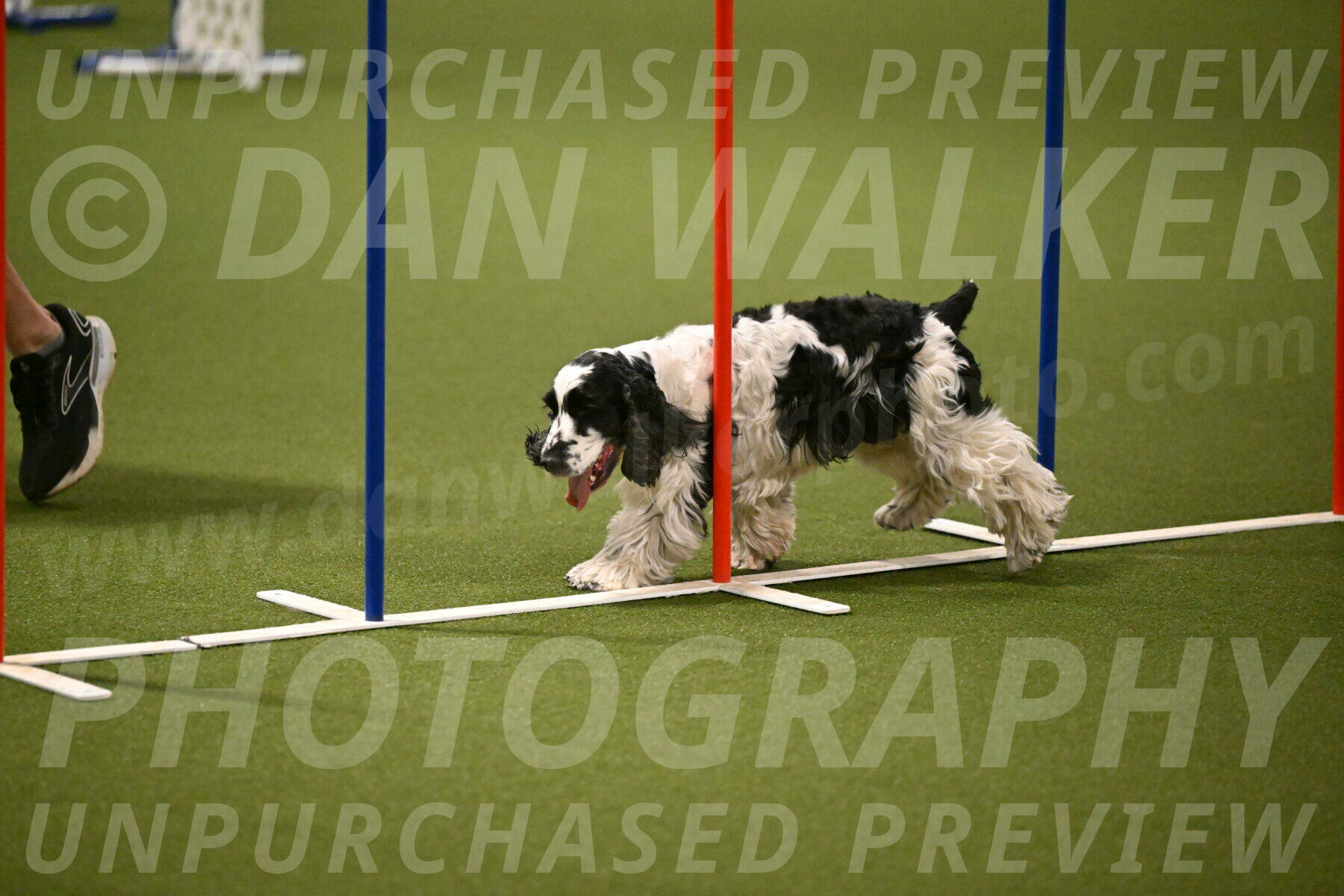 Winston-David-and-Christy-Thorley-02426