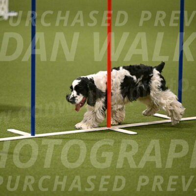 Winston-David-and-Christy-Thorley-02426