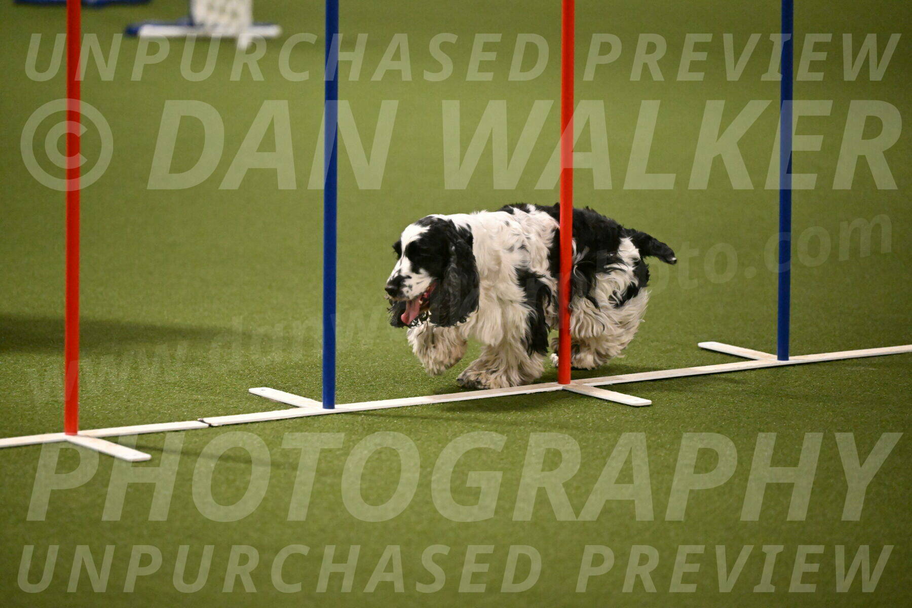 Winston-David-and-Christy-Thorley-02427