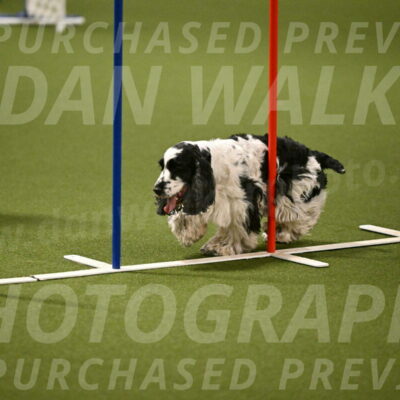 Winston-David-and-Christy-Thorley-02427