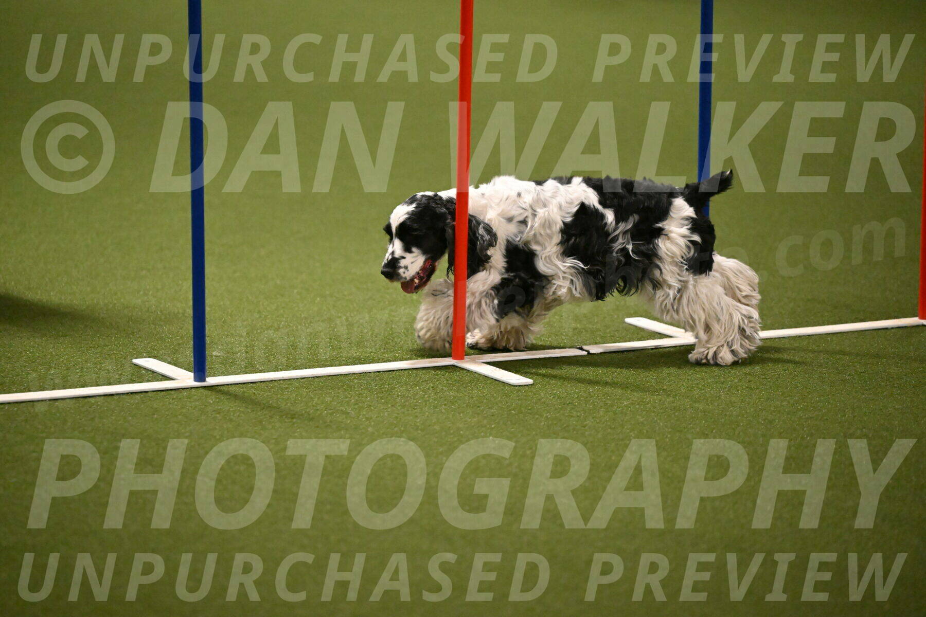 Winston-David-and-Christy-Thorley-02428