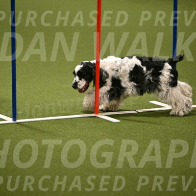 Winston-David-and-Christy-Thorley-02428