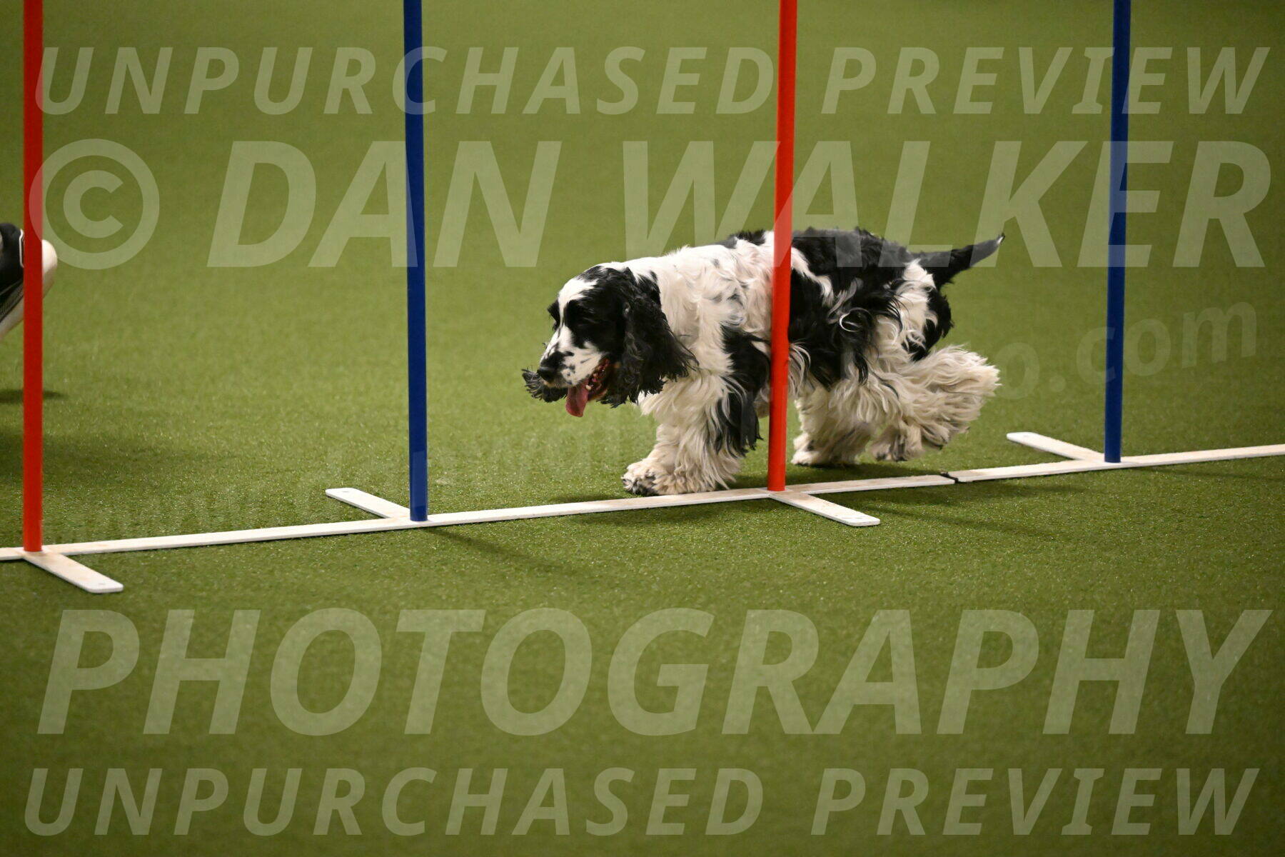 Winston-David-and-Christy-Thorley-02429