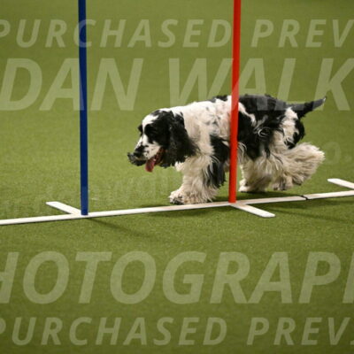 Winston-David-and-Christy-Thorley-02429