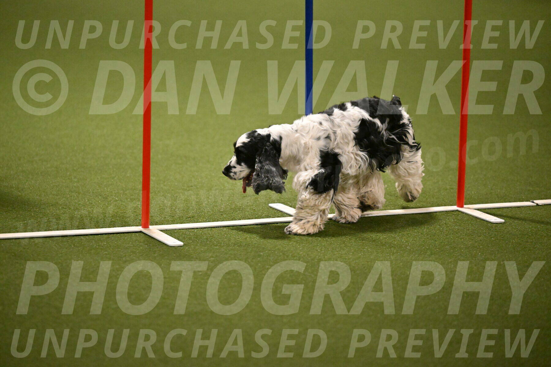 Winston-David-and-Christy-Thorley-02430