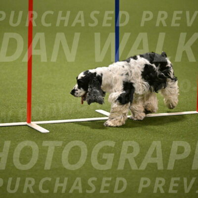 Winston-David-and-Christy-Thorley-02430