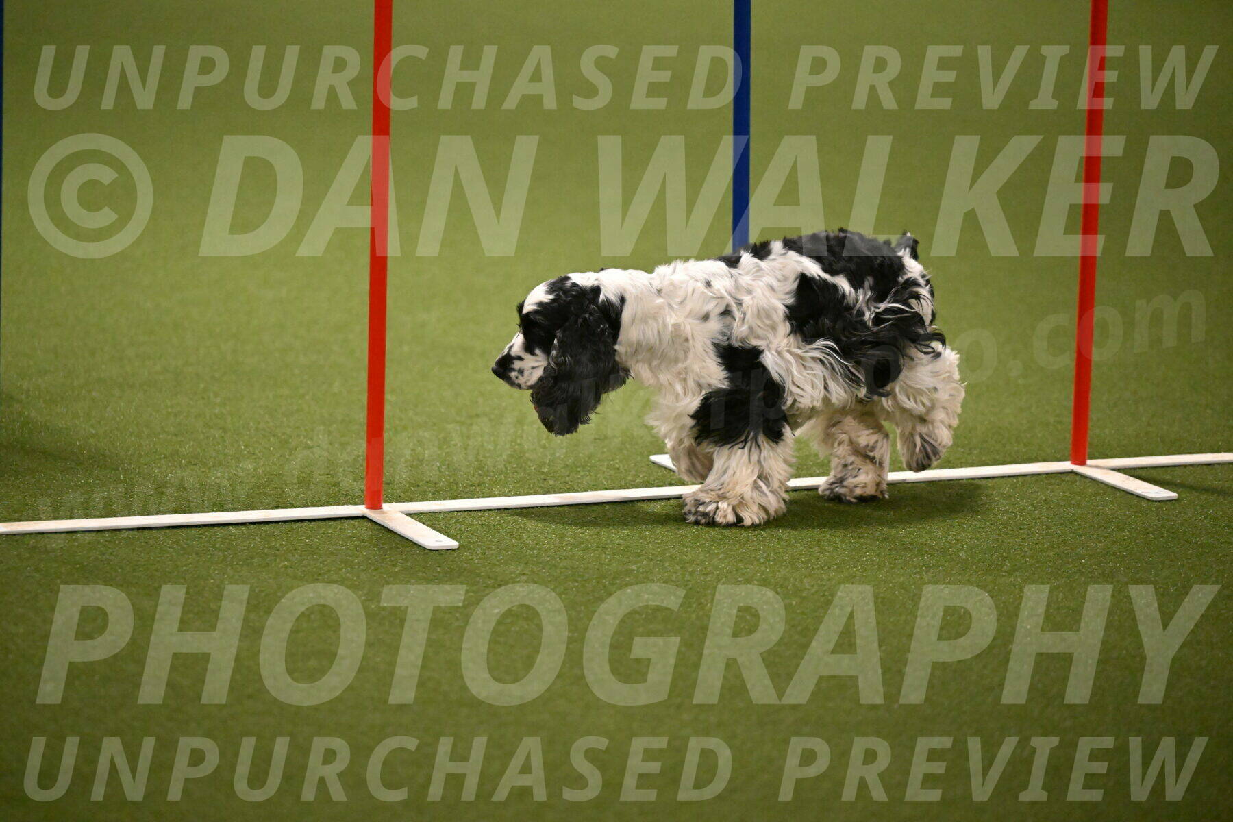 Winston-David-and-Christy-Thorley-02431