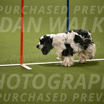 Winston-David-and-Christy-Thorley-02431