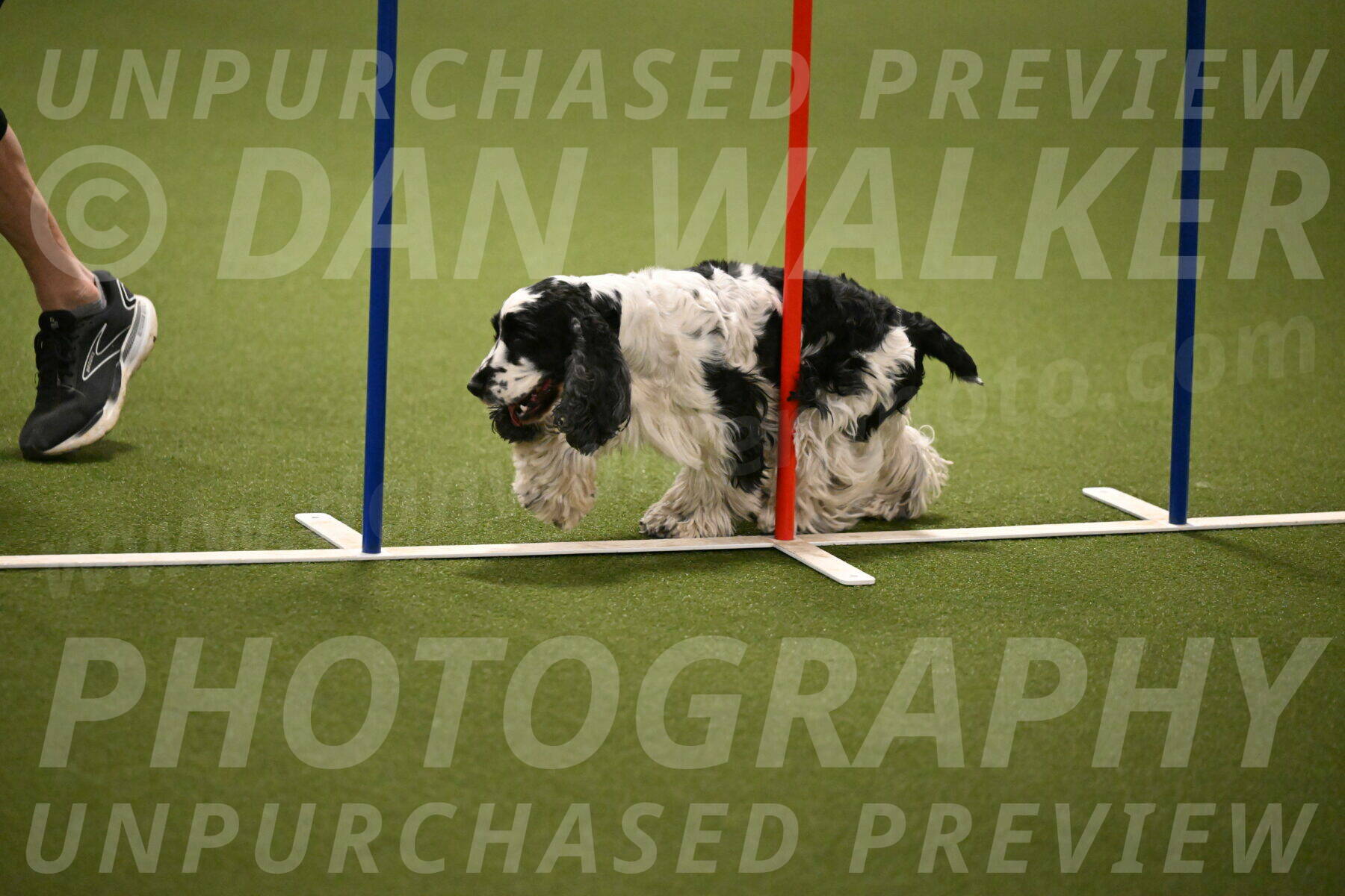 Winston-David-and-Christy-Thorley-02432