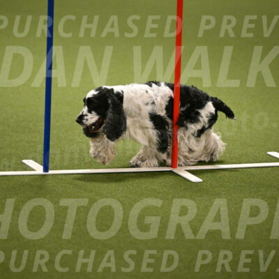 Winston-David-and-Christy-Thorley-02432