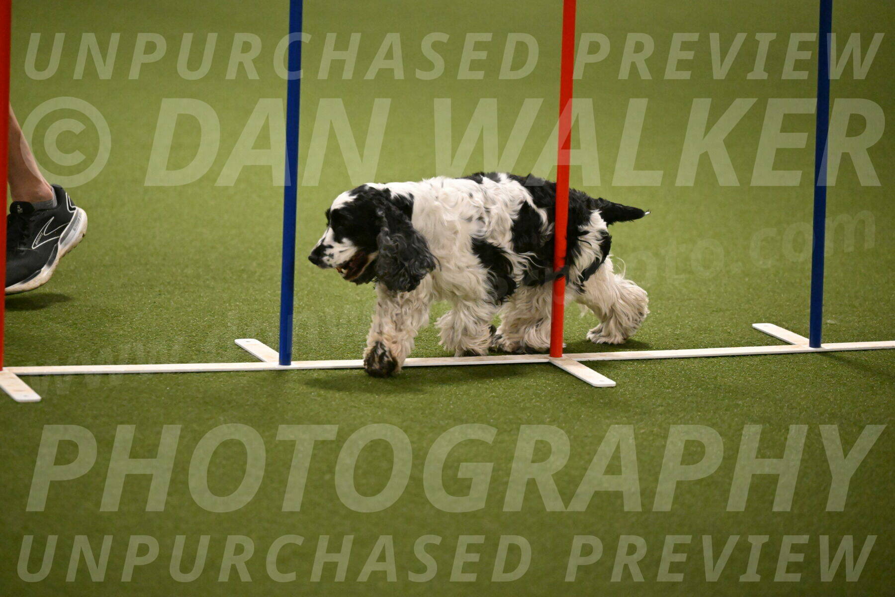 Winston-David-and-Christy-Thorley-02433