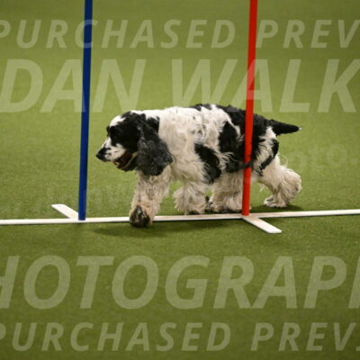 Winston-David-and-Christy-Thorley-02433