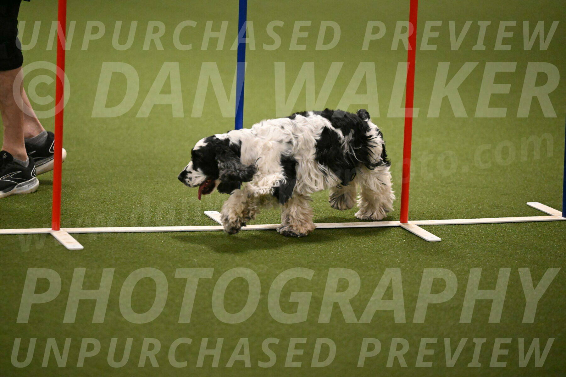 Winston-David-and-Christy-Thorley-02434