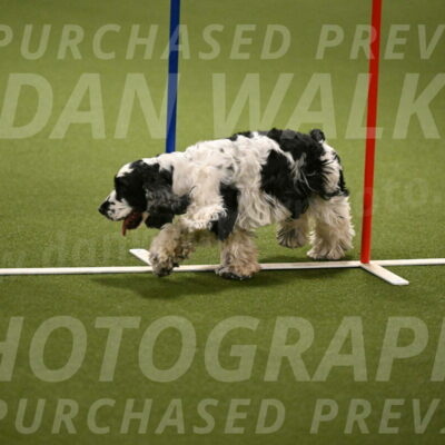 Winston-David-and-Christy-Thorley-02434