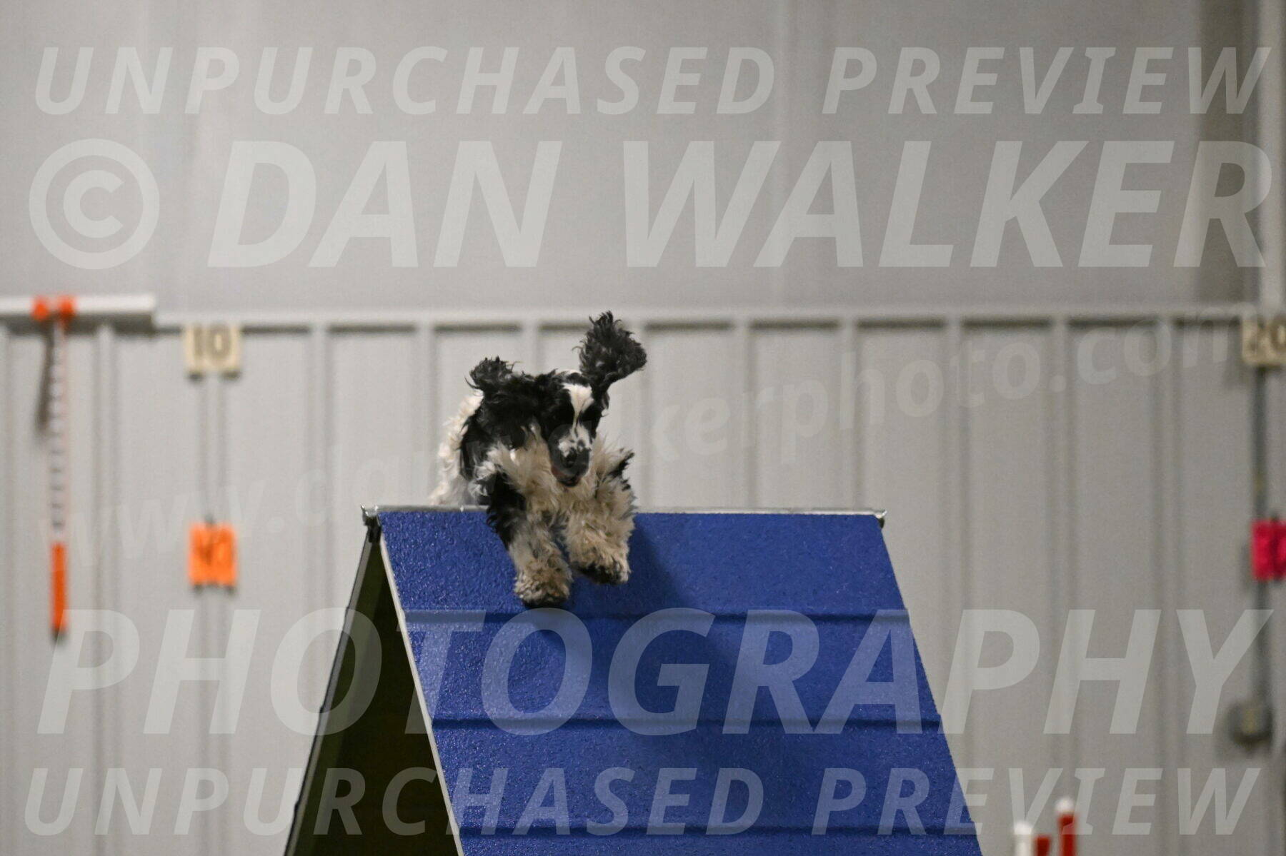 Winston-David-and-Christy-Thorley-02435