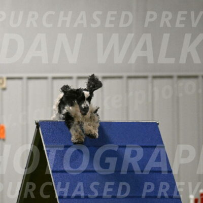 Winston-David-and-Christy-Thorley-02435