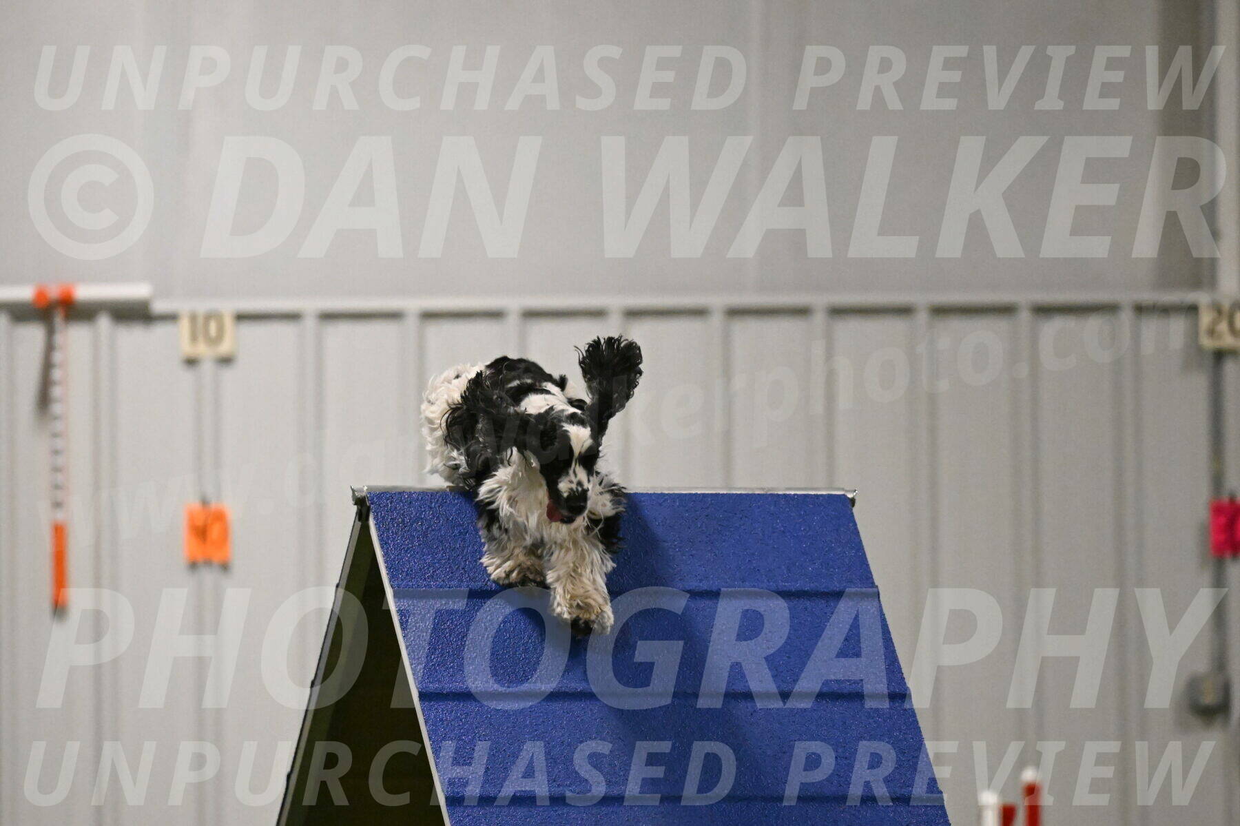 Winston-David-and-Christy-Thorley-02436