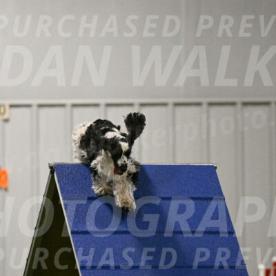 Winston-David-and-Christy-Thorley-02436