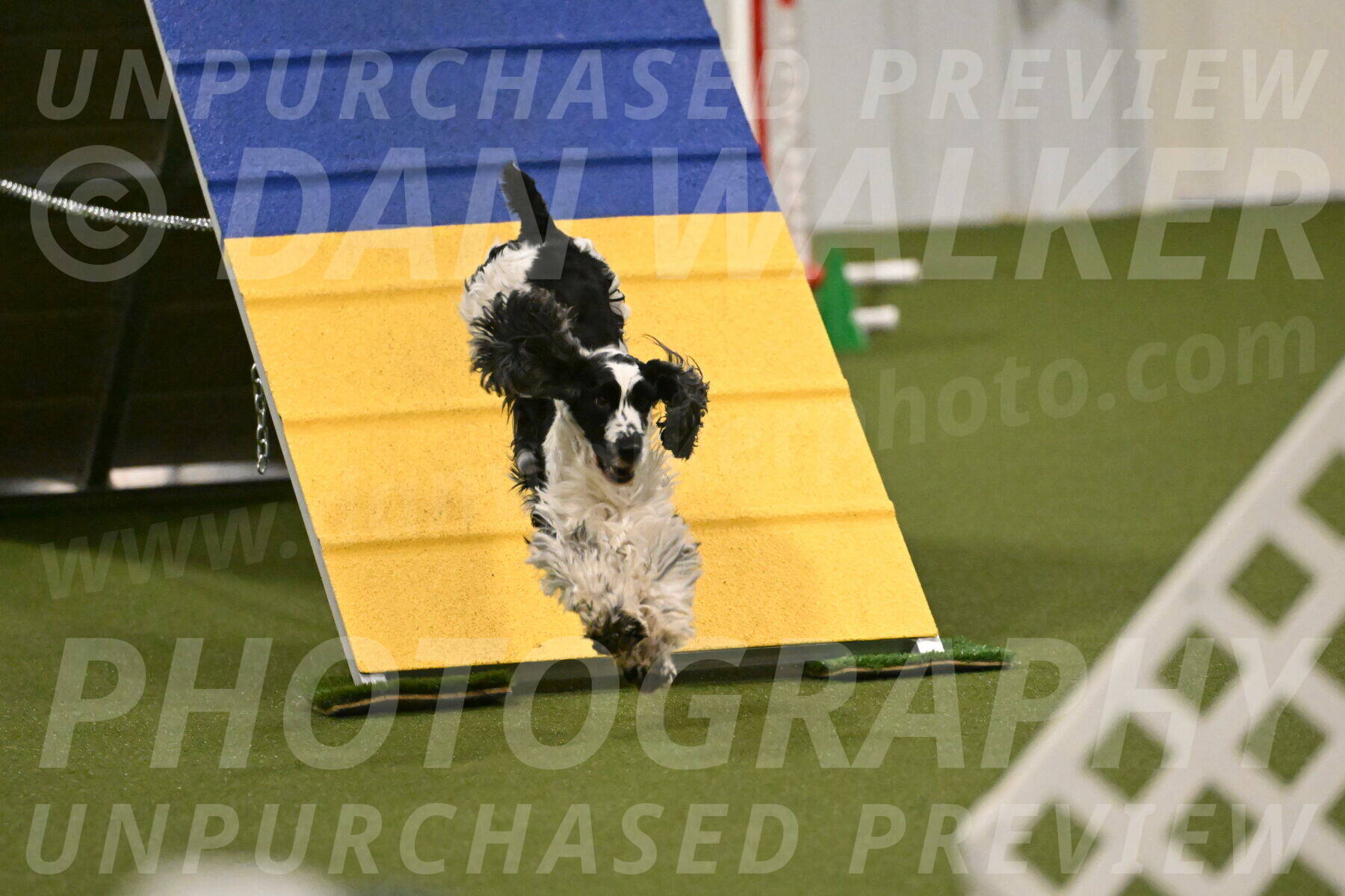 Winston-David-and-Christy-Thorley-02437