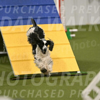 Winston-David-and-Christy-Thorley-02437