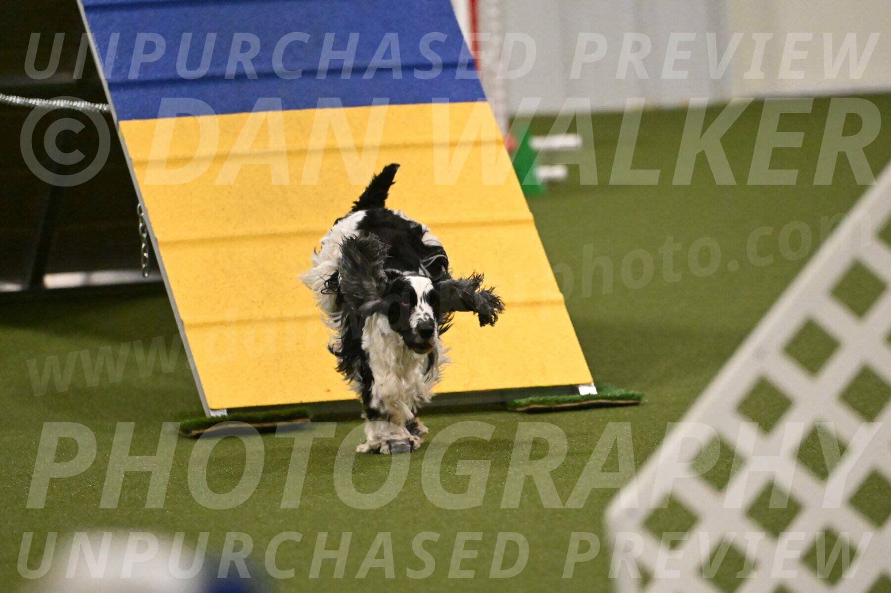 Winston-David-and-Christy-Thorley-02438