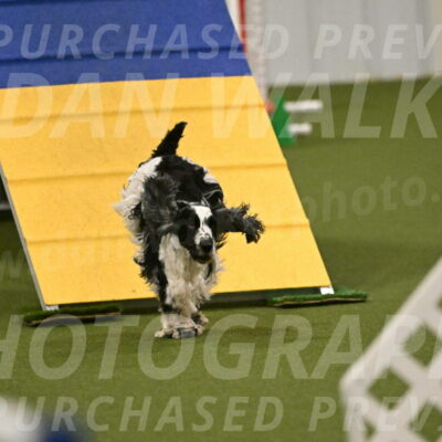 Winston-David-and-Christy-Thorley-02438