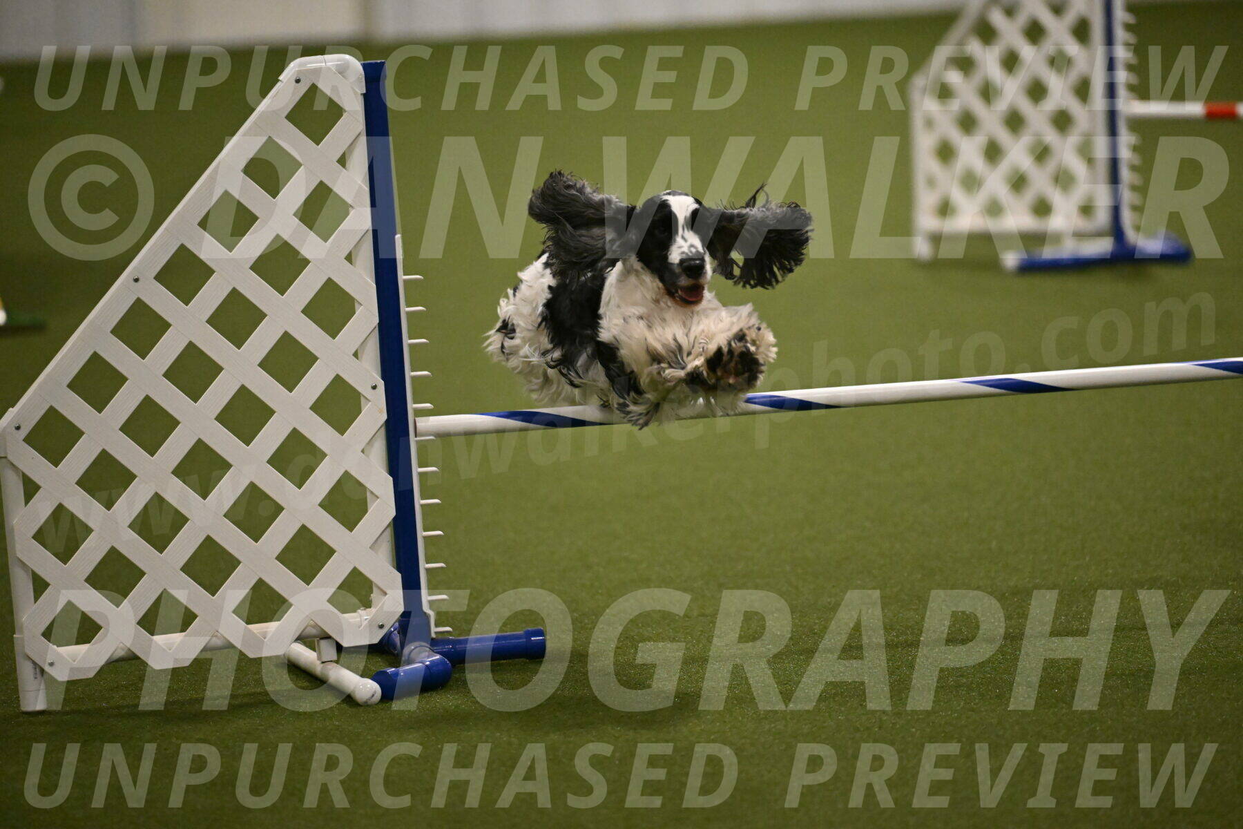 Winston-David-and-Christy-Thorley-02439