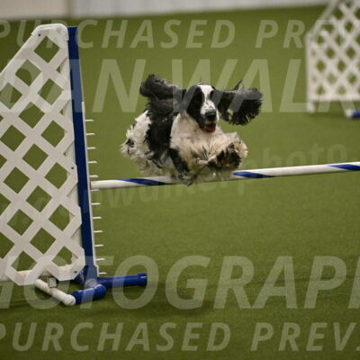 Winston-David-and-Christy-Thorley-02439