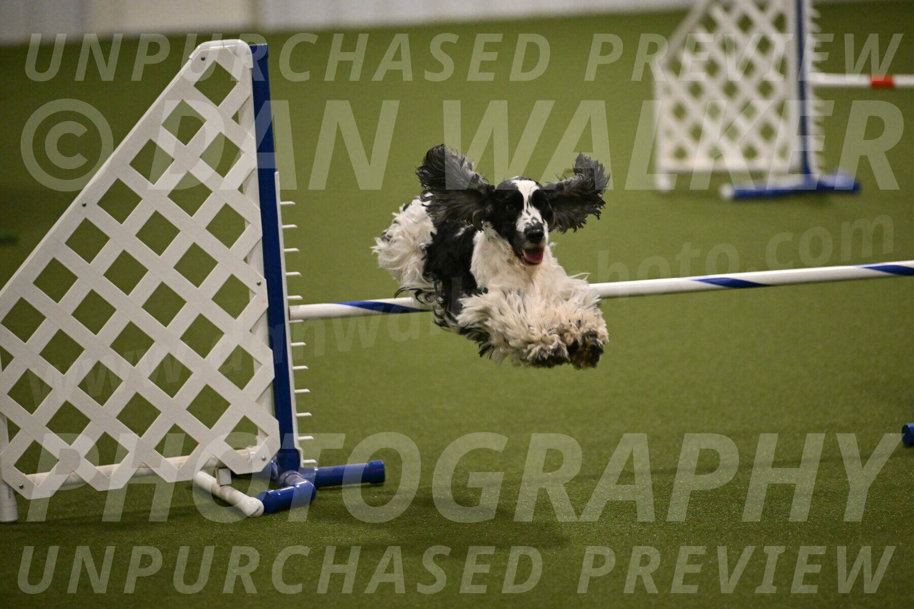 Winston-David-and-Christy-Thorley-02440