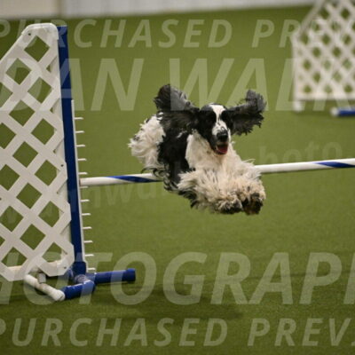 Winston-David-and-Christy-Thorley-02440