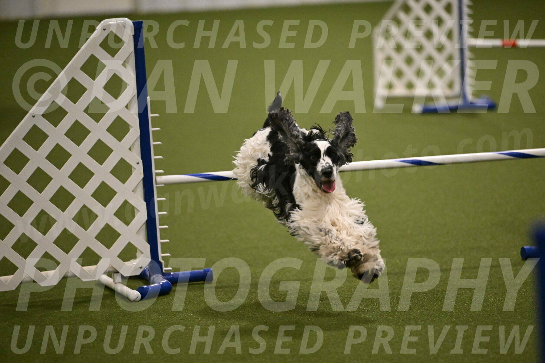 Winston-David-and-Christy-Thorley-02441