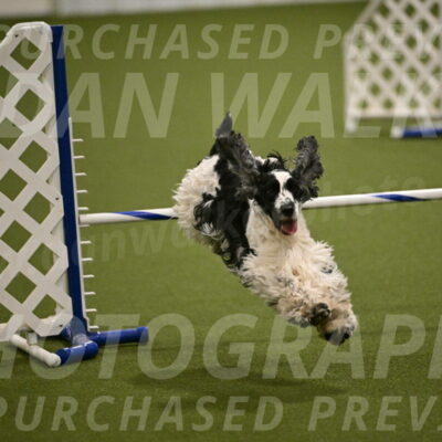 Winston-David-and-Christy-Thorley-02441