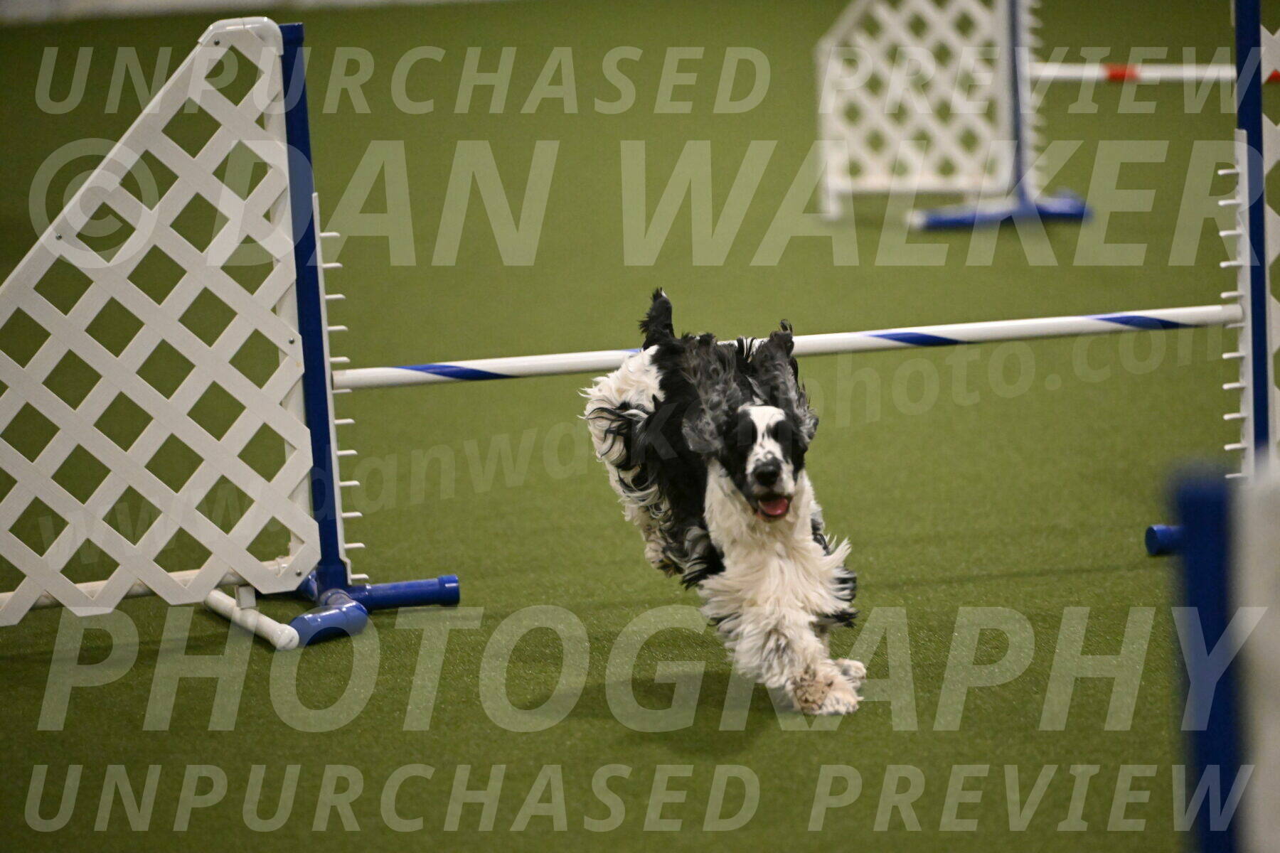 Winston-David-and-Christy-Thorley-02442