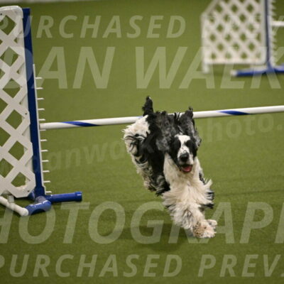 Winston-David-and-Christy-Thorley-02442