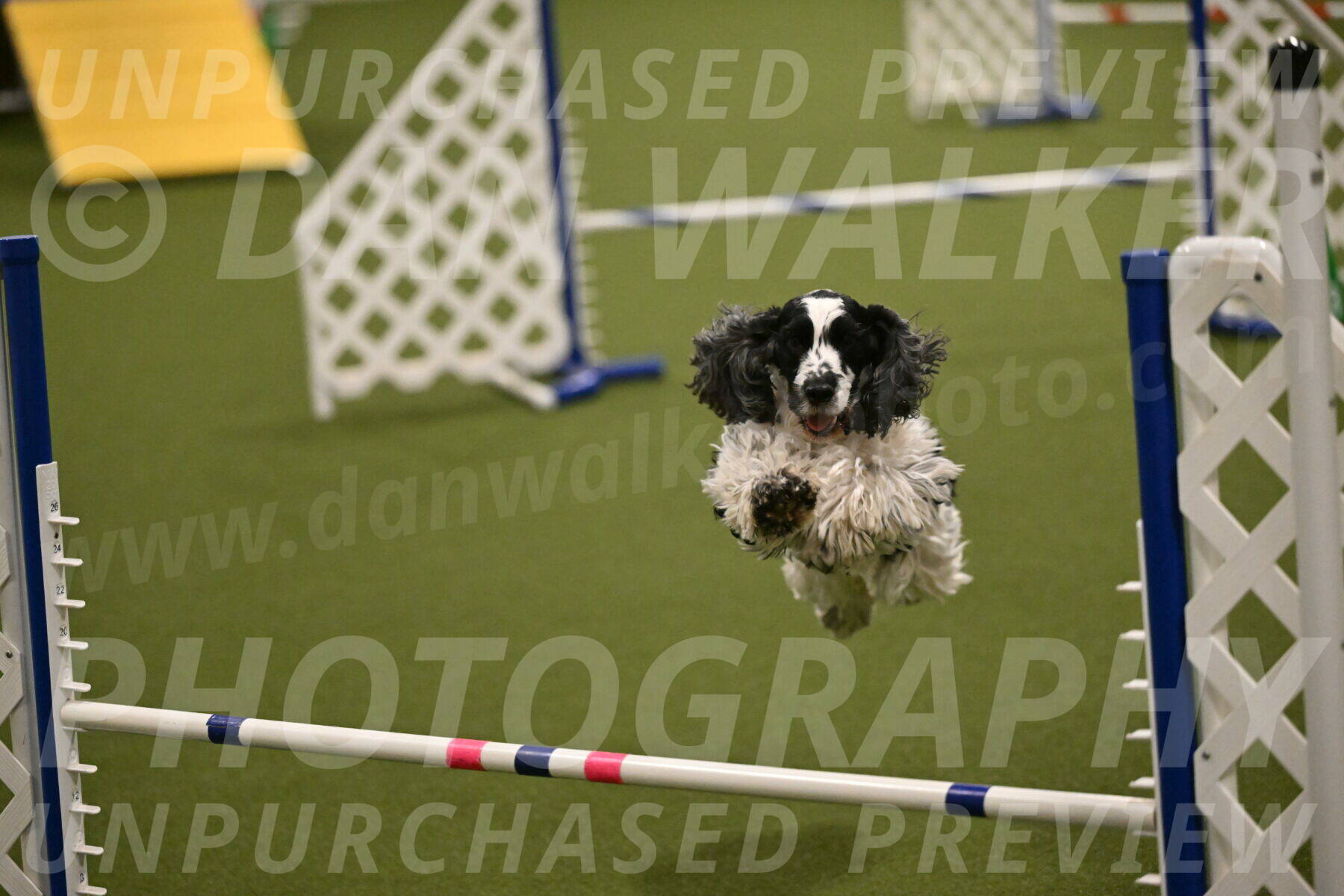 Winston-David-and-Christy-Thorley-02443